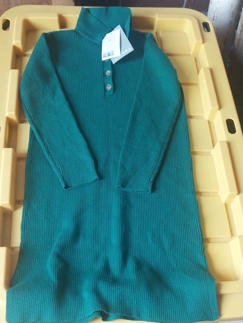 Women’s Green Ribbed Turtleneck Sweater Dress